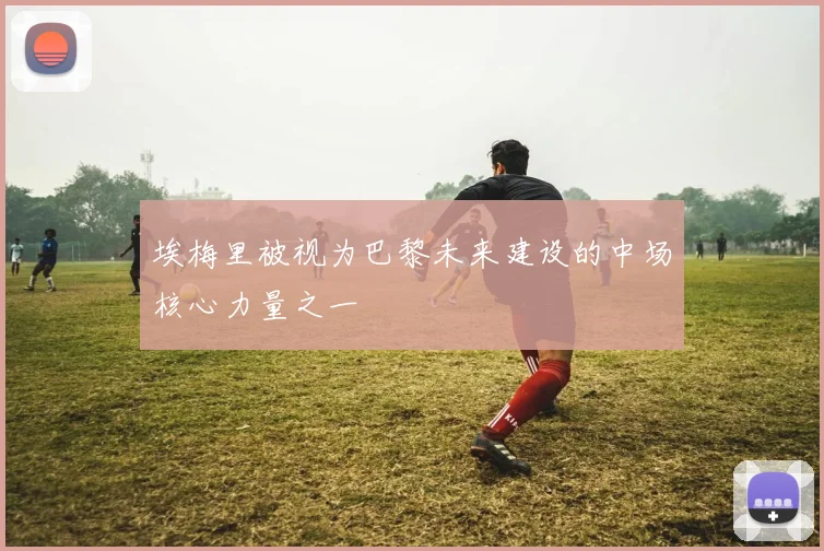 埃梅里被视为巴黎未来建设的中场核心力量之一