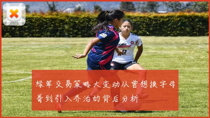 绿军交易策略大变动从曾想换字母哥到引入乔治的背后分析