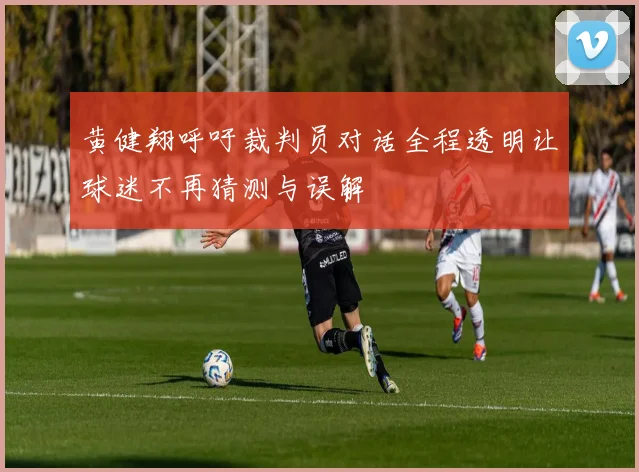 黄健翔呼吁裁判员对话全程透明让球迷不再猜测与误解