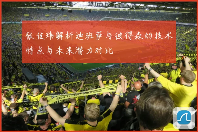 张佳玮解析迪班萨与彼得森的技术特点与未来潜力对比